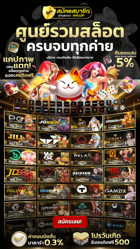 รูปภาพสินค้า